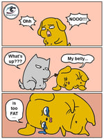 My belly is too fat