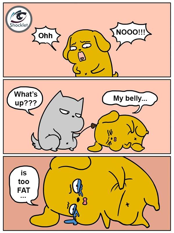 My belly is too fat