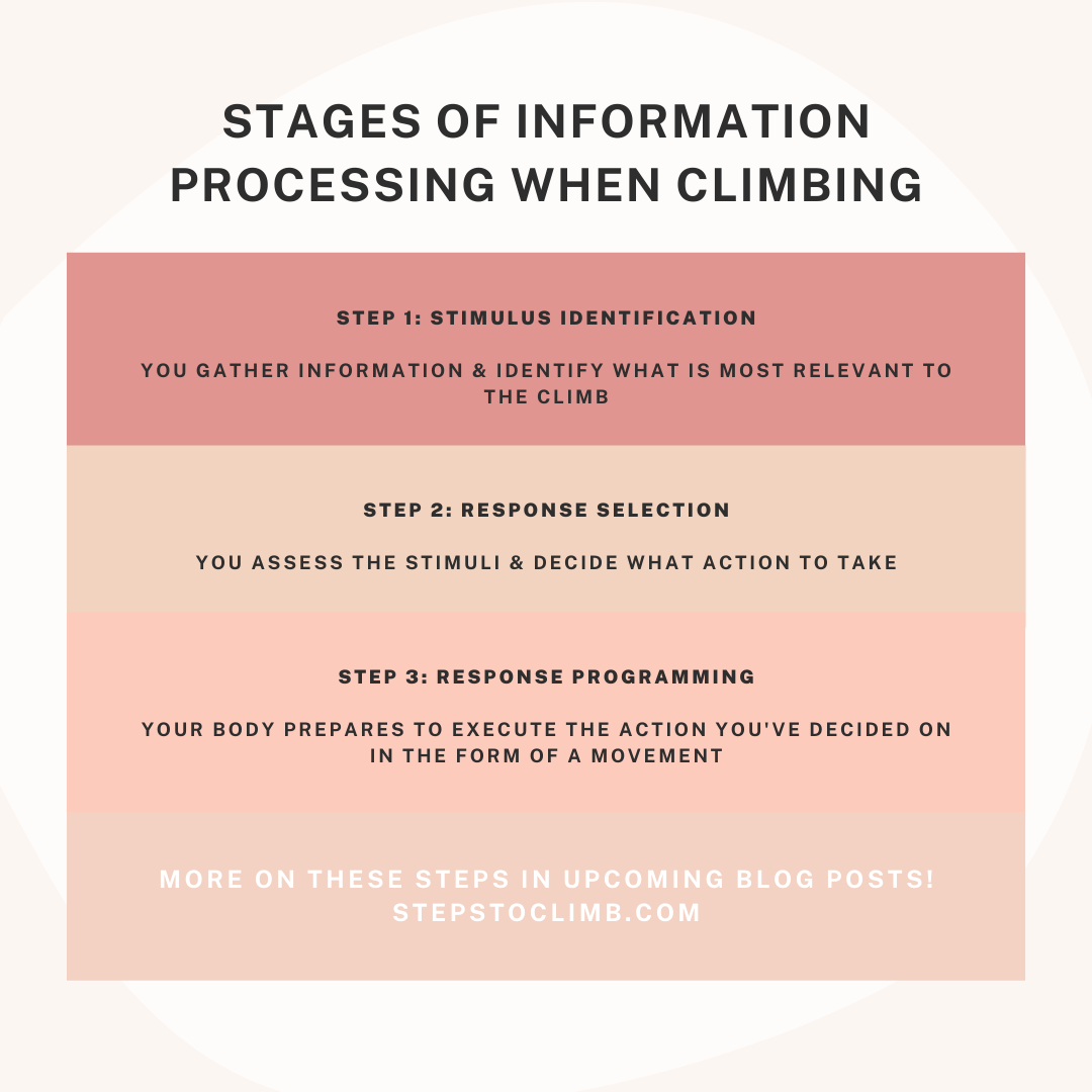 stages of Information processing when climbing
